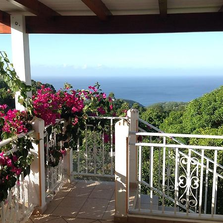 Villa Des Iles Basse-Terre Dış mekan fotoğraf