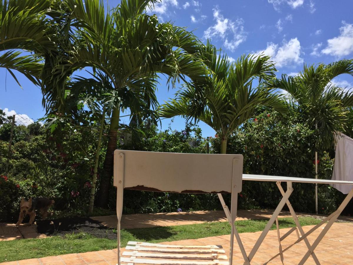 Villa Des Iles Basse-Terre Dış mekan fotoğraf