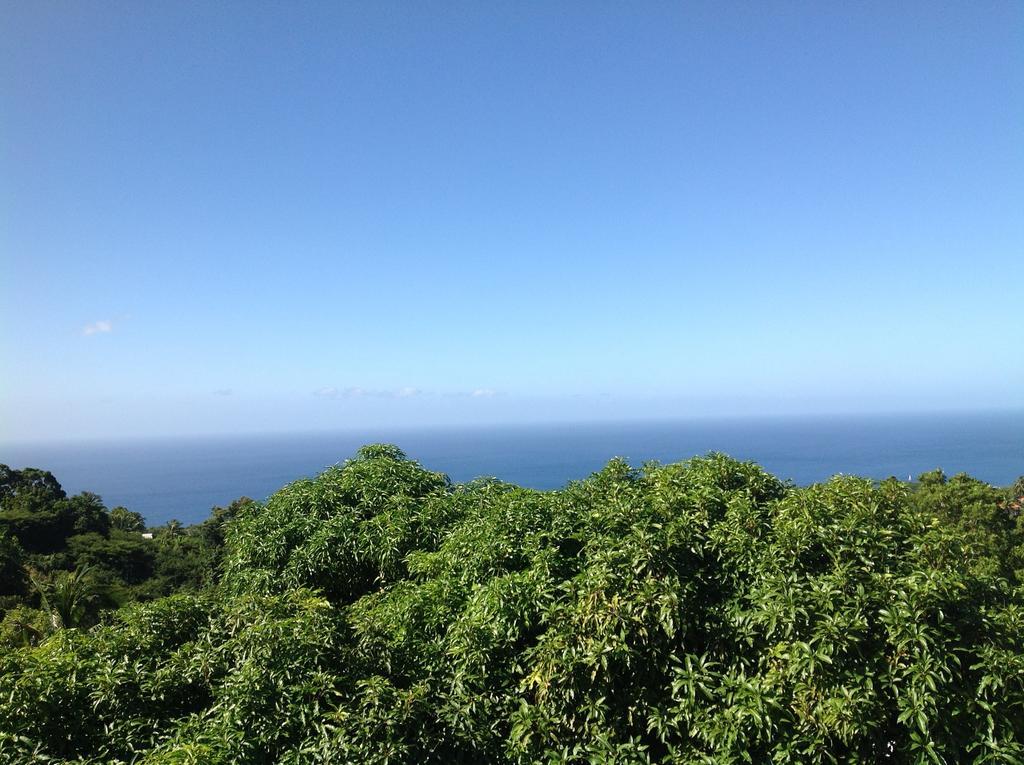 Villa Des Iles Basse-Terre Dış mekan fotoğraf