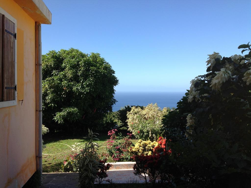 Villa Des Iles Basse-Terre Dış mekan fotoğraf