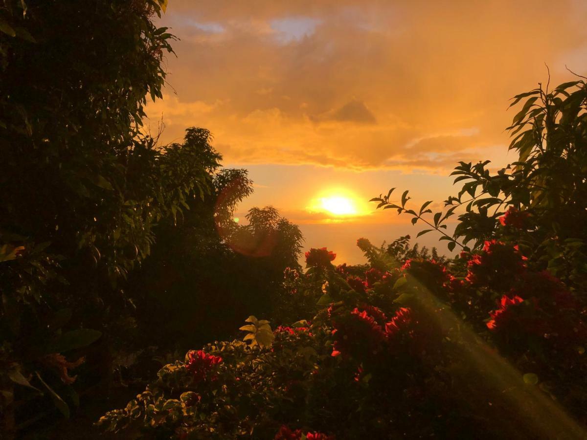 Villa Des Iles Basse-Terre Dış mekan fotoğraf