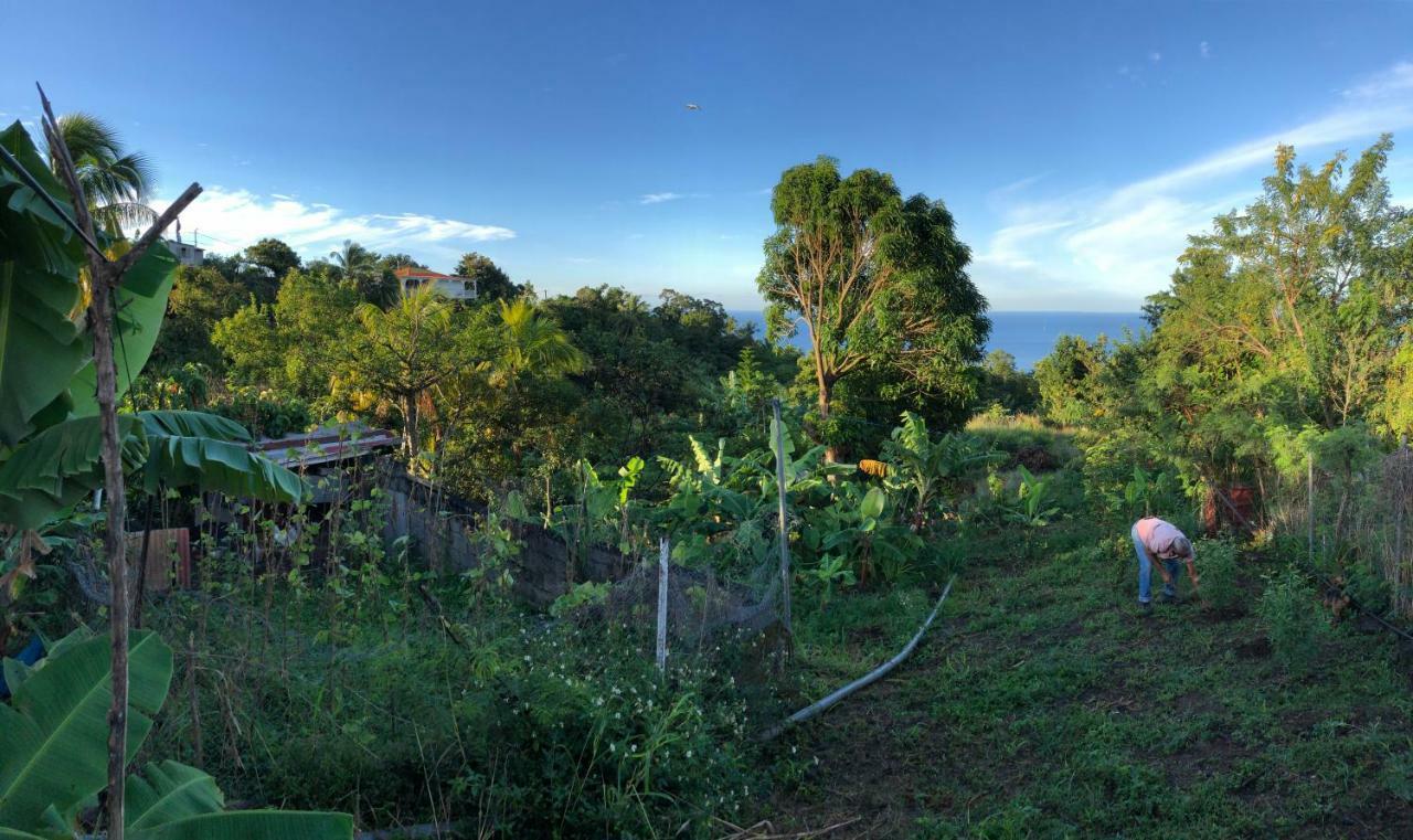 Villa Des Iles Basse-Terre Dış mekan fotoğraf